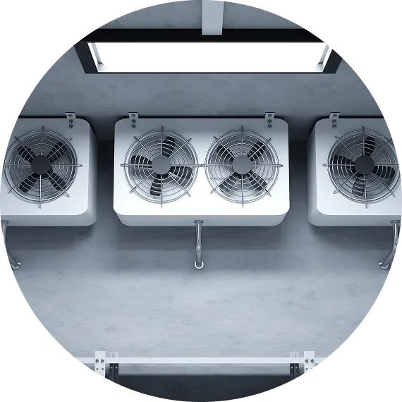 飲食店の厨房らしい天井に、複数の換気ファンが並んで設置されている様子